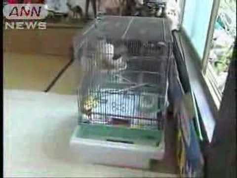 pourquoi j'ai des boutons d'acné mort pourquoi j'ai des boutons d'acné mort