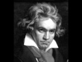 Ludwig van Beethoven String Quartet No.15 in A minor, Op.132 - 3. Molto Adagio - Andante