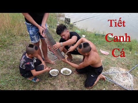 Tiết Canh Cá Trắm - Cười Không Nhặt Được Mồm Với Món Ăn Cho Chó Của Mao Đại Ca