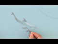 Cómo dibujar un delfín bajo el agua con lápices de colores
