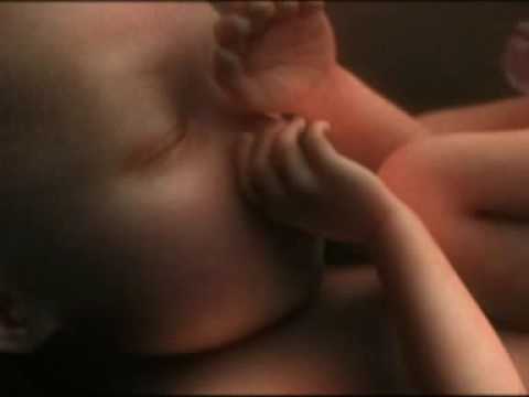 3d ultrasound scan. 3D 4D Baby Bonding Ultrasound Scan - Window to the Womb Window to the Womb
