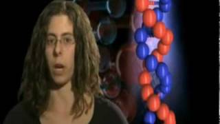 Haplogroup X Explained