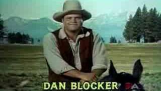 Bonanza TV Series