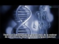 Signs Le Film Hd Les Signes De L Existence De images Signs Le Film Hd Les Signes De L Existence De