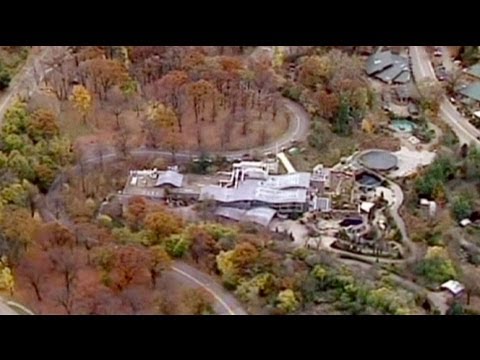 Un Nino Devorado Por Perros Salvajes Africanos En Zoo De Pittsburg