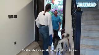 Justmop Customer Testimonials - Mafalda