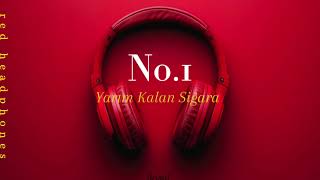 No.1 Yarım Kalan Sigara Düetmelek Mosso