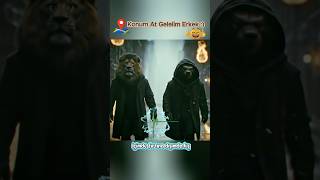 Yenilmez Ikili Aslan Ve Bal Porsuğu