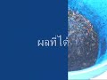 ปุ๋ยน้ำชีวภาพ