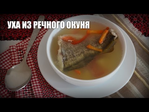 Рецепты пошаговые с фото речного окуня