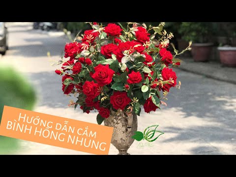 HƯỚNG DẪN CẮM BÌNH HOA HỒNG NHUNG #họccắmhoa #hướngdẫncắmhoa #shophoalụa #shophoaĐàNẵng