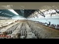 The Terracotta Army 2012 UNESCO World Heritage Site in Xi'an, China