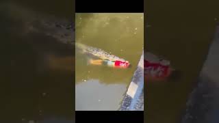 owY8NuBZ32A Video Image