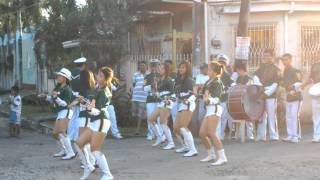 Gangnam Tagles Style