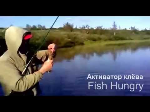 погода и клев рыбы в котласе погода и клев рыбы в котласе