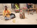 Funny Monkey Dance Video.Comedy Drama in India.Bandar ka khel.