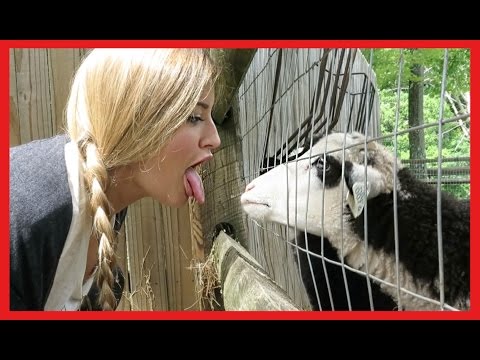 sexy brittany rathel naked videos goat lick feet