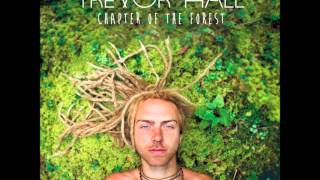 Watch Trevor Hall Chapter Of The Forest video