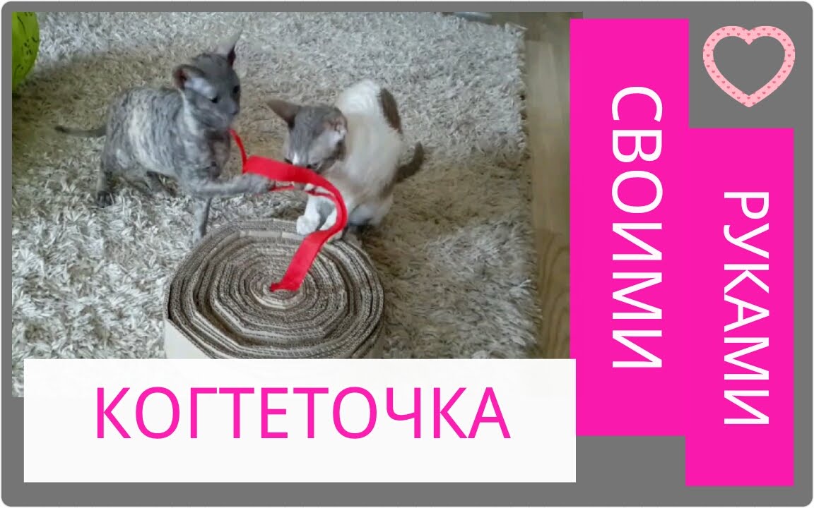 поздравление валентины с днем рождения