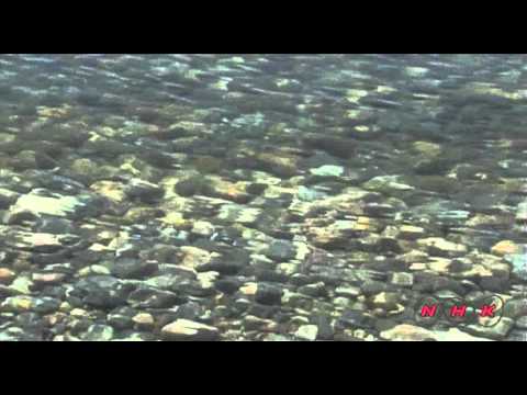 Lake Baikal (UNESCO/NHK)