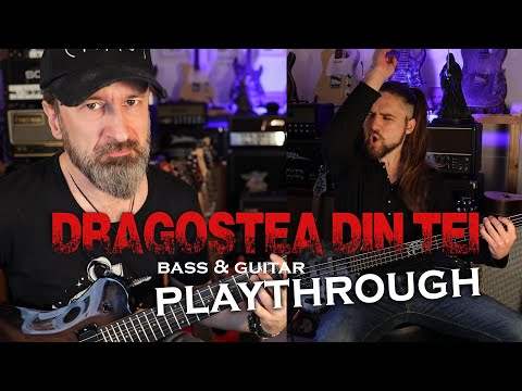Feuerschwanz - Dragostea Din Tei - Bass &amp; Guitar Playthrough