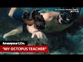 Oscar-Winner "My Octopus Teacher" Explores Unique Human-Octopus Friendship | Amanpour and Company