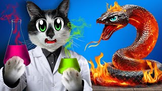 Школа Котов: Урок Химии 2 Часть! Химические Эксперементы Челлендж! Экстремалные Опыты Малыша И Мурки