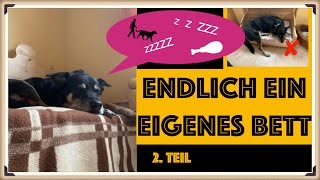 Das Hundebett | Eine Nobelliege für Jacky Blickle