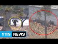 귀순 북한 병사 CCTV 공개...기적의 탈출 / YTN