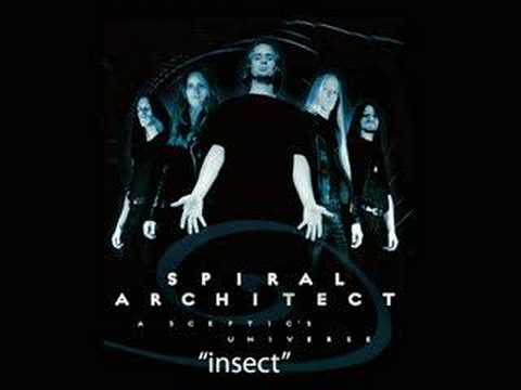 Insect Video
