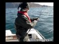 Havsfiske, Tromsö Hälleflundracamp, 160 cm tagen på Mieko Predator 28.wmv