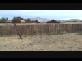Emmett ID video: Amazing Bargains- Emmett Idaho HUD Foreclosures Oct 4th