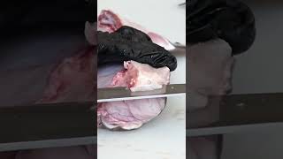 Köpek Balığı Yemeği Laos