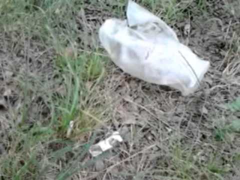 1030706水水台江微電影指導工作坊 和順國中 我們的嘉南大圳 - YouTube pic
