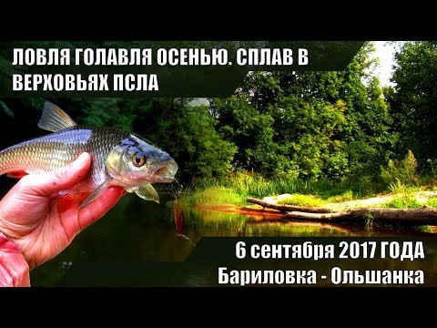 ловля голавля сплавом ловля голавля сплавом