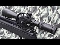 .25 cal airgun