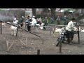 Sapi Vs Kambing images Sapi Vs Kambing