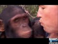 Corwin's Quest ~ The Chimp's Politics ~ full video