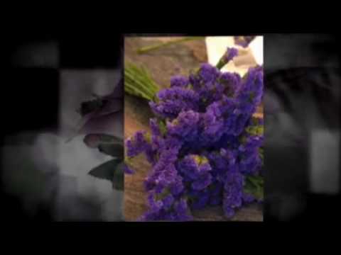 Let Your bridal Flowers show you some beautiful designs with purple flowers