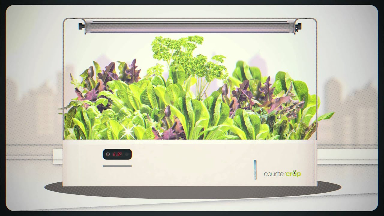 indoor garden smart countertop vegetable gardening