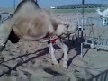Allah Ka Mojza New 3 Must Watch Share images Allah Ka Mojza New 3 Must Watch Share