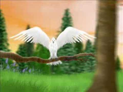This World Won't Wait Video