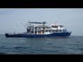 Tour Boat Capsizes Off Coast of Mexico: American Tourist Dead
