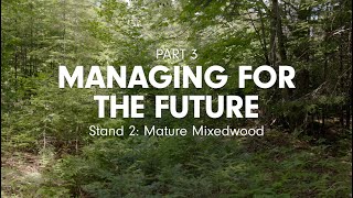 Our Changing Forest, Part 3 - Stand 2 / Nôtre Forêt en Transition, Partie 3 - Peuplement 2