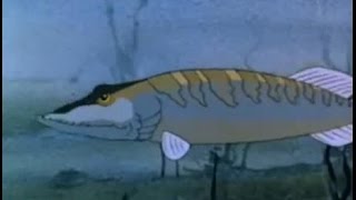 Animals of Farthing Wood Reviews S.1-Ep.6 Who Shall Wear the Crown?