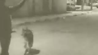Vatsap Statusları Vəzyet Zor Eladi.