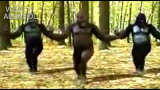Karanti̇nen Sonra Toy
