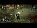 My long fight with the World 3, player-controlled boss. (Brad - Demon's Souls)