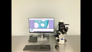 Olympus Ckx53 Inverted Microscope Video Id 27543