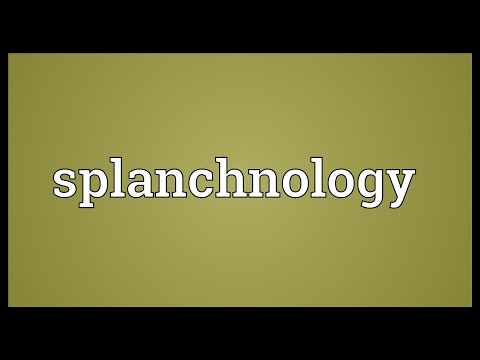 Header of splanchnology